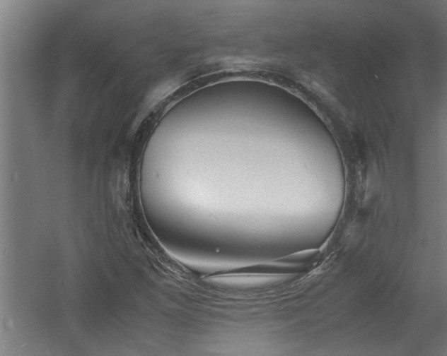 X0000060781261200511101330