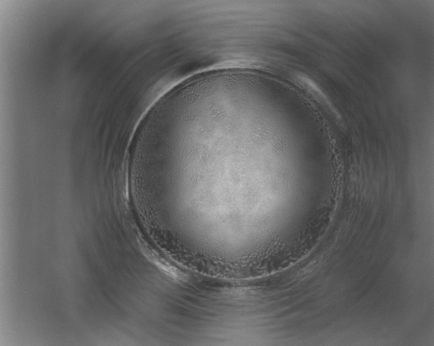 X0000060781276200511101330
