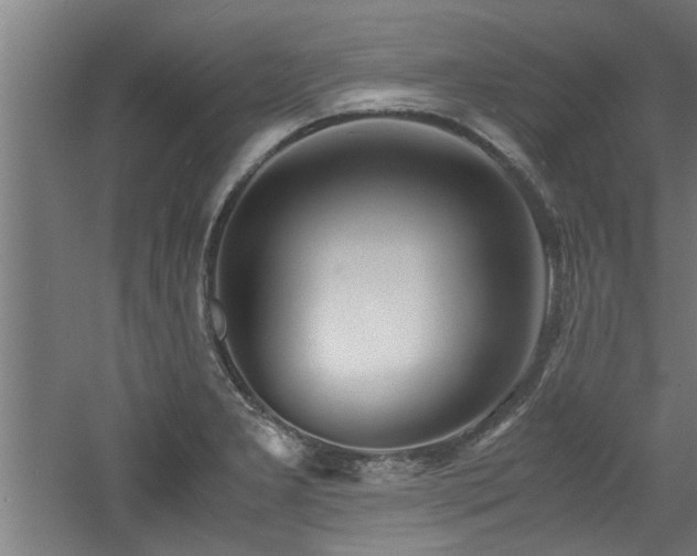 X0000060781277200511101330