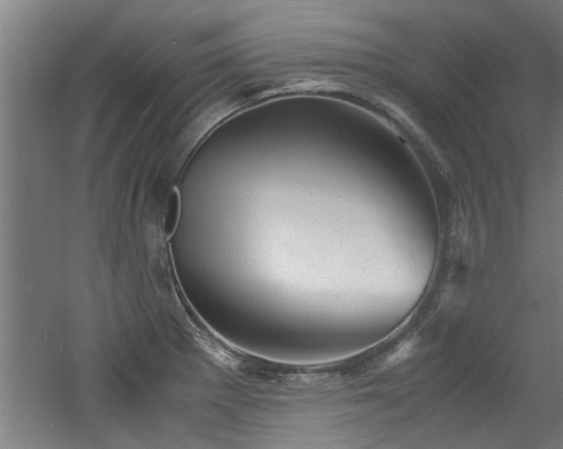 X0000060781281200511101330