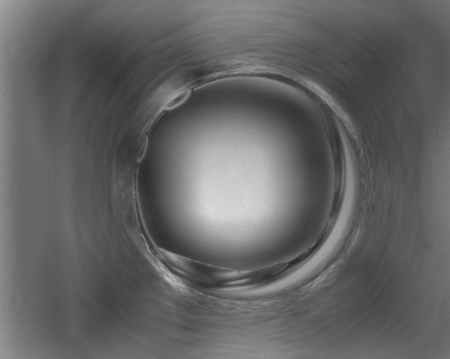 X0000060781289200511101330