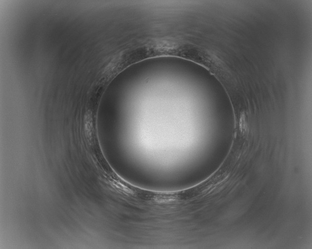 X0000060781299200511101329