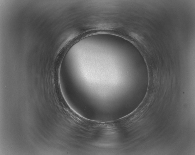X0000060781307200511101329