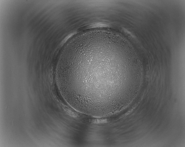 X0000060781313200511101329