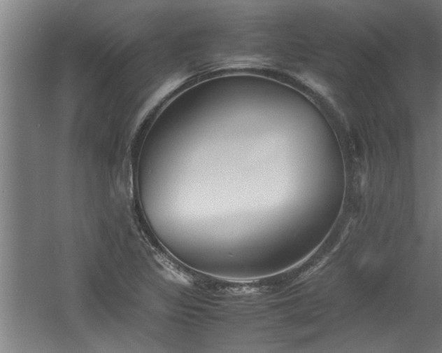 X0000060781317200511101329