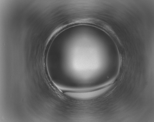 X0000060781328200511101329