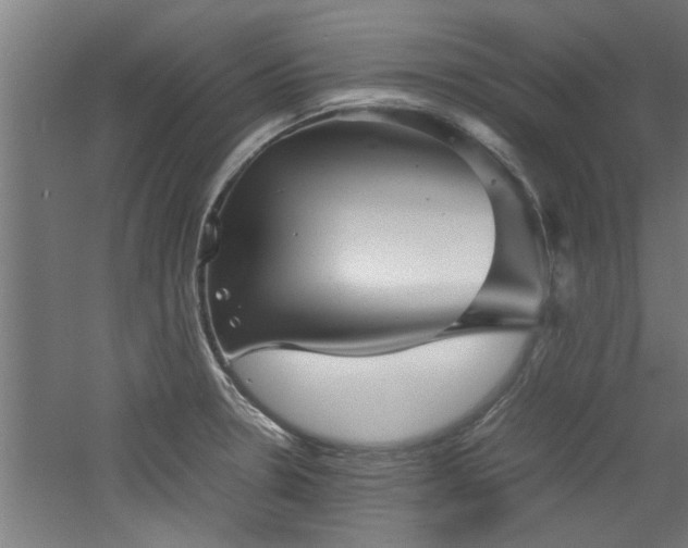X0000060781330200511101329