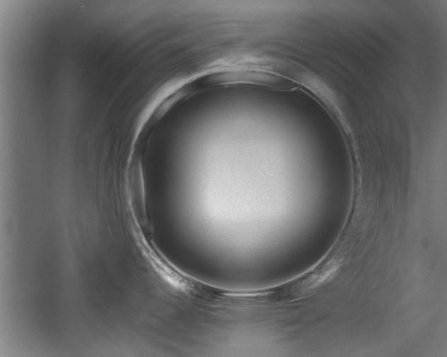 X0000060781344200511101330