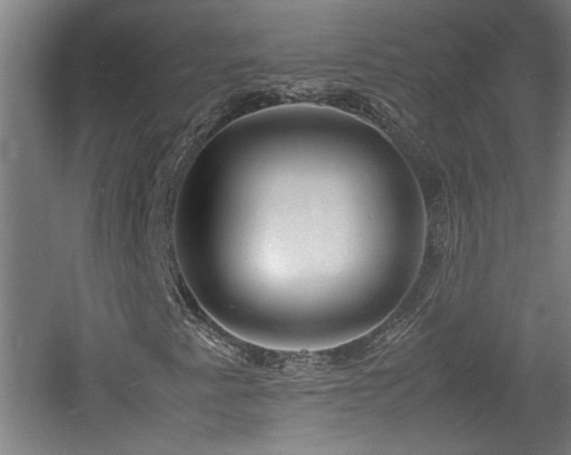 X0000060781345200511101329