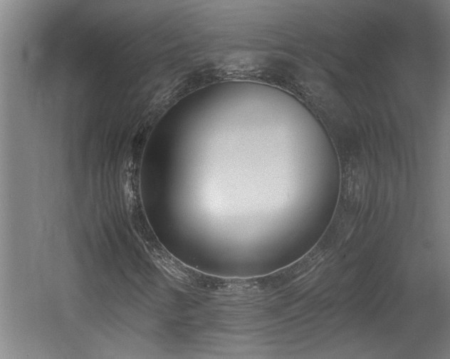 X0000060781346200511101329