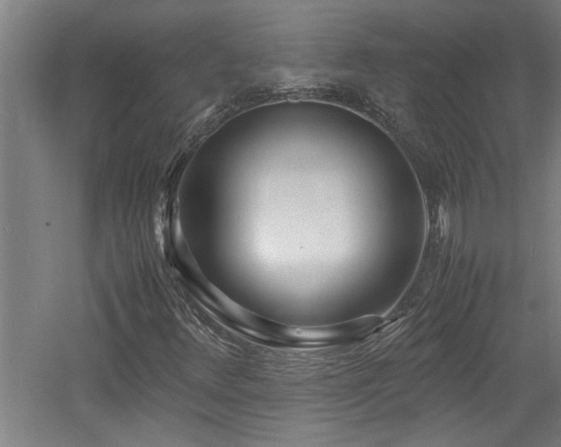 X0000060781348200511101329
