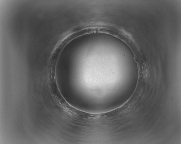 X0000060781352200511101329
