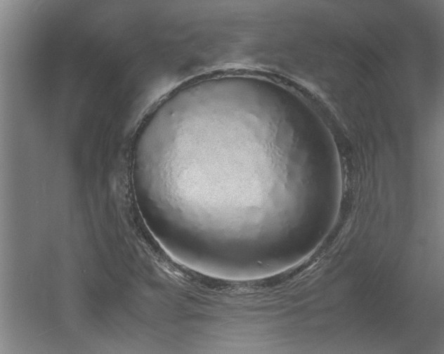 X0000060781359200511101329
