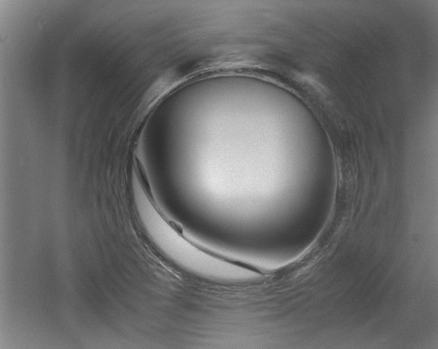 X0000060781361200511101329