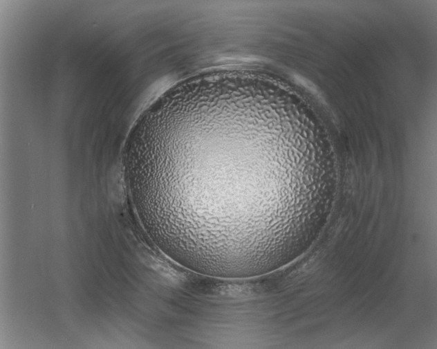 X0000060781362200511101329