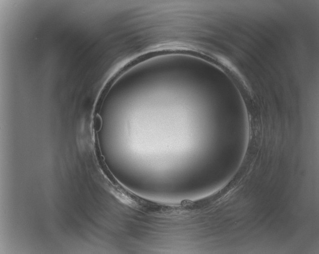 X0000060781372200511101328
