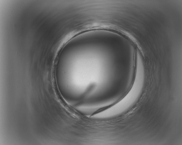 X0000060781373200511101328