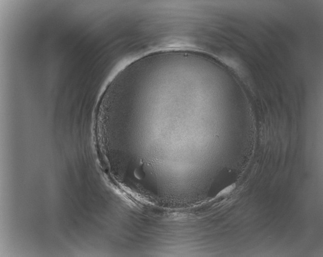 X0000060781374200511101328