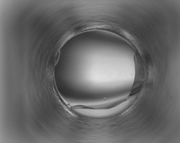 X0000060781377200511101328