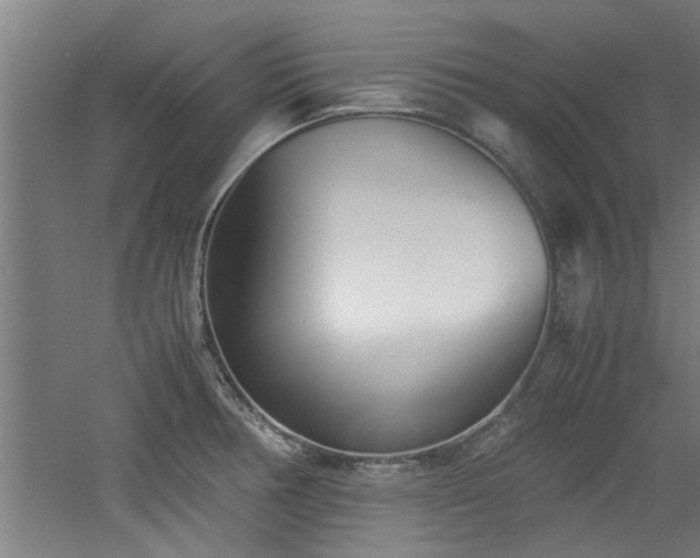 X0000060781378200511101328
