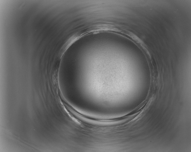 X0000060781385200511101328
