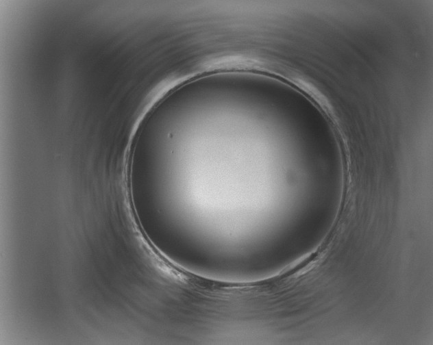X0000060781392200511101328