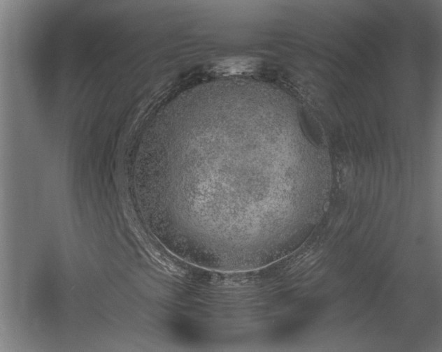 X0000060781393200511101327