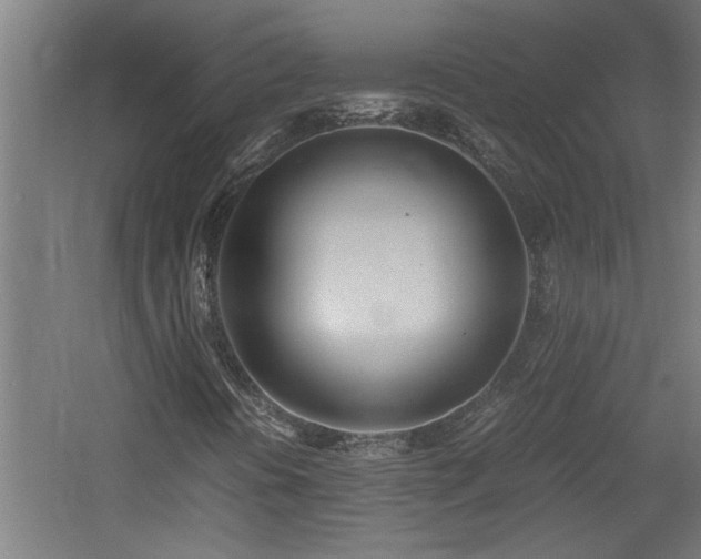 X0000060781394200511101327