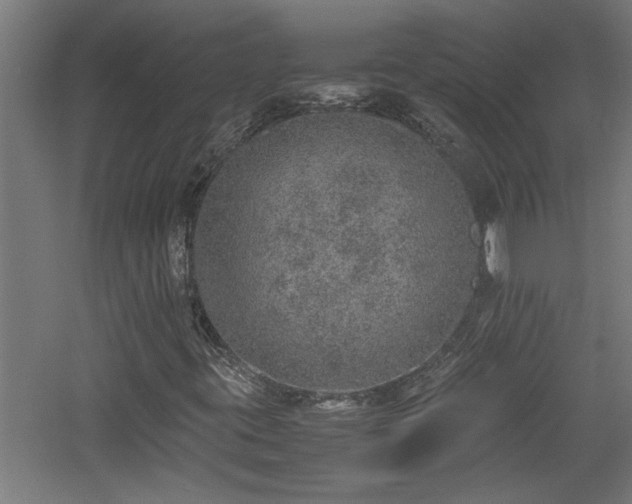 X0000060781395200511101327