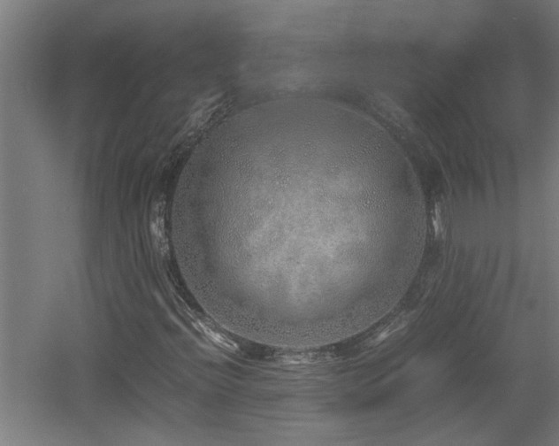 X0000060781396200511101327