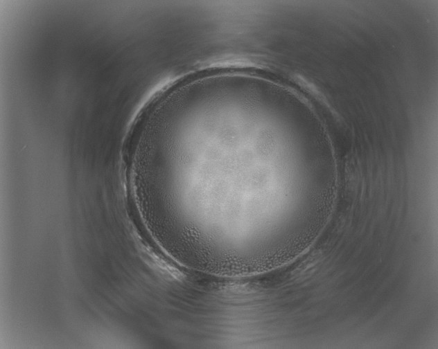 X0000060781408200511101328