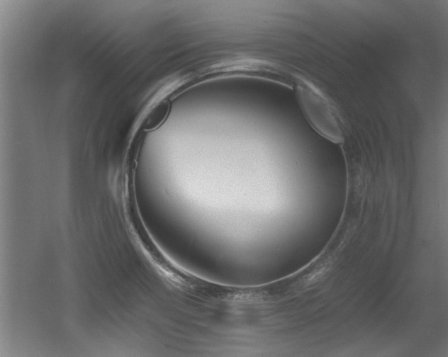 X0000060781418200511101328