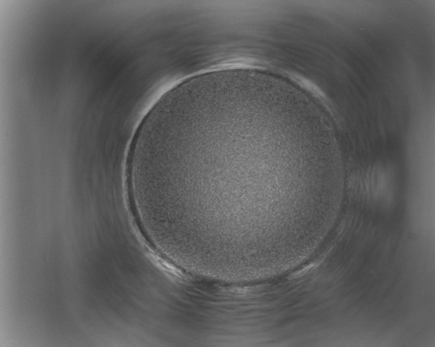 X0000060781423200511101328