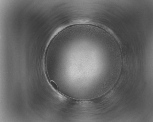 X0000060781432200511101328