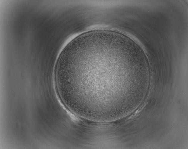 X0000060781440200511101328