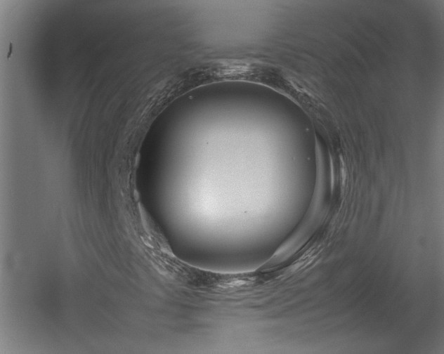 X0000060781441200511101327