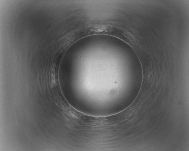 X0000060781442200511101327