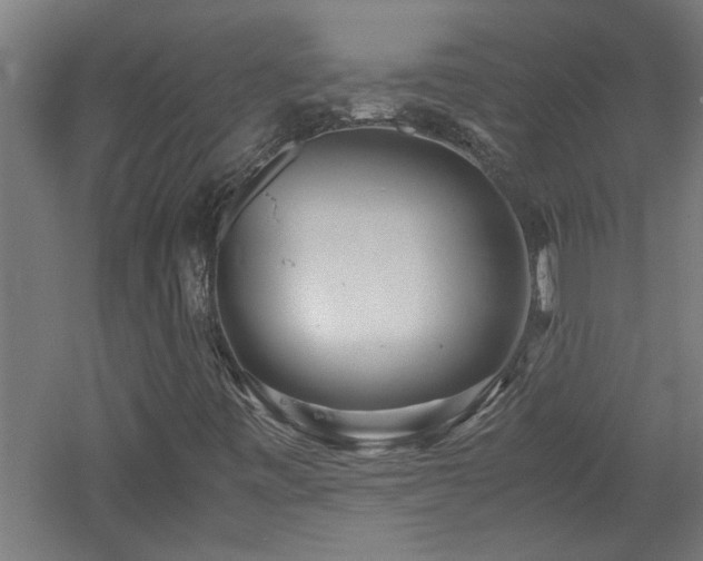X0000060781443200511101327