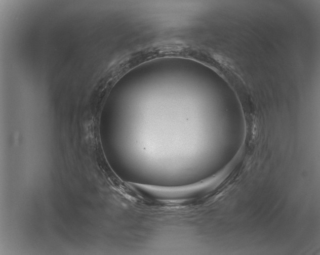 X0000060781445200511101327