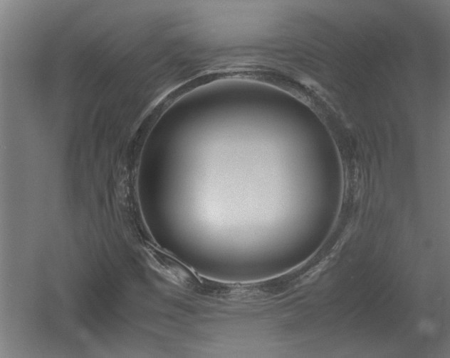 X0000060781449200511101327
