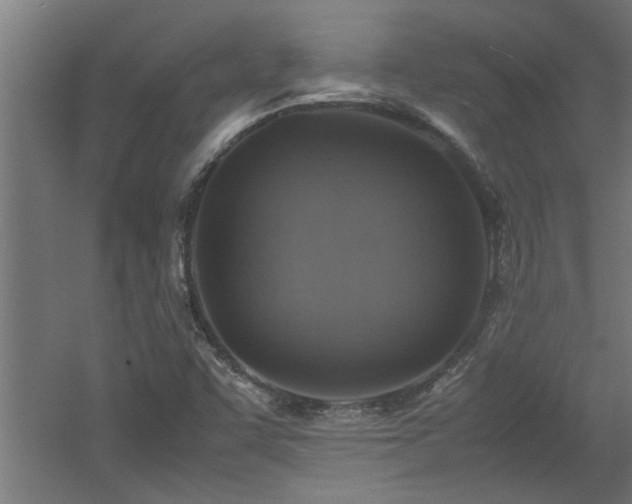 X0000060781455200511101327
