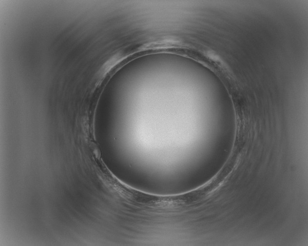 X0000060781457200511101327