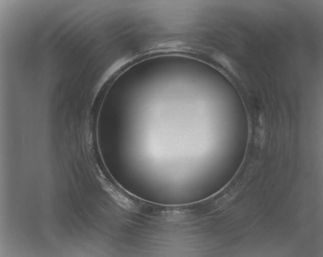 X0000060781458200511101327