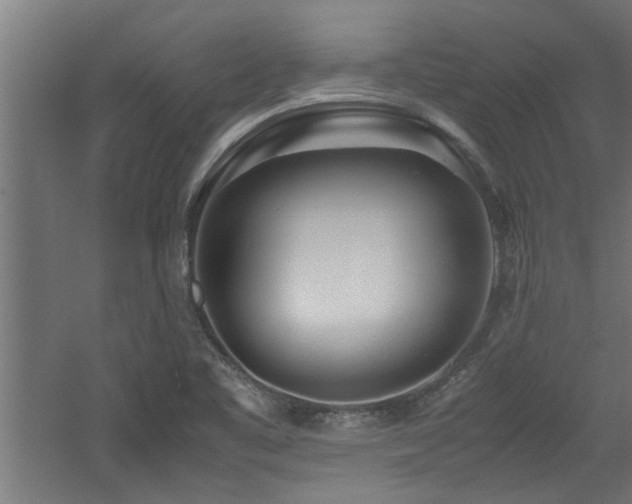 X0000060781461200511101327