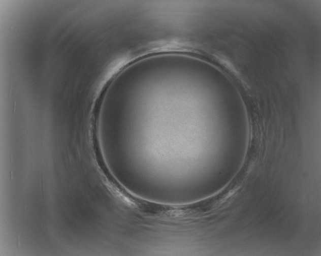 X0000060781463200511101327