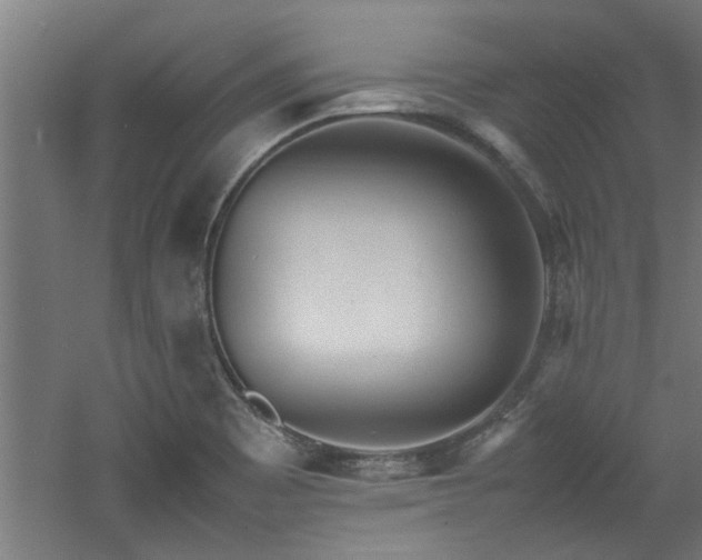 X0000060781465200511101327