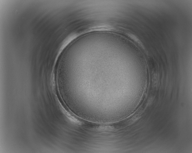 X0000060781466200511101327