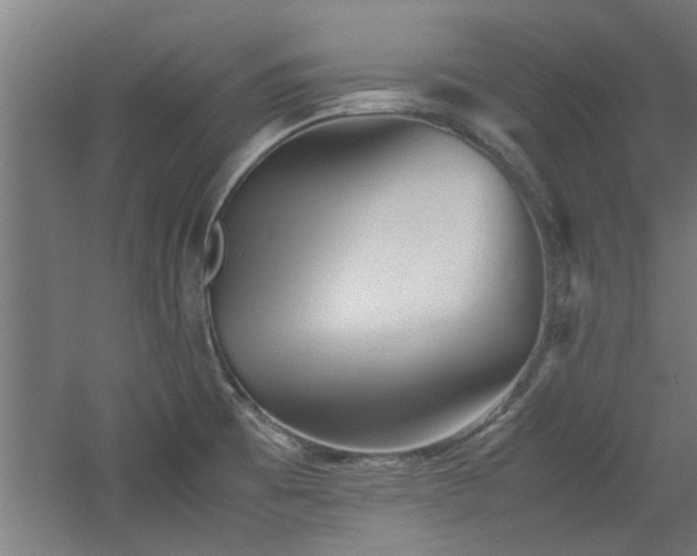 X0000060781473200511101327