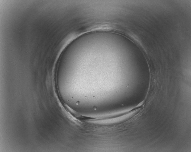 X0000060781475200511101327