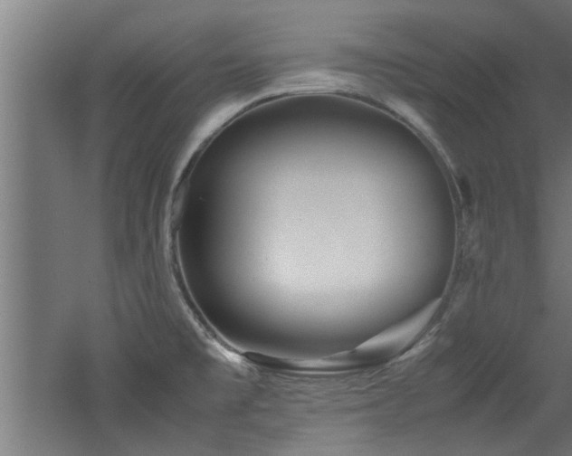X0000060781477200511101327